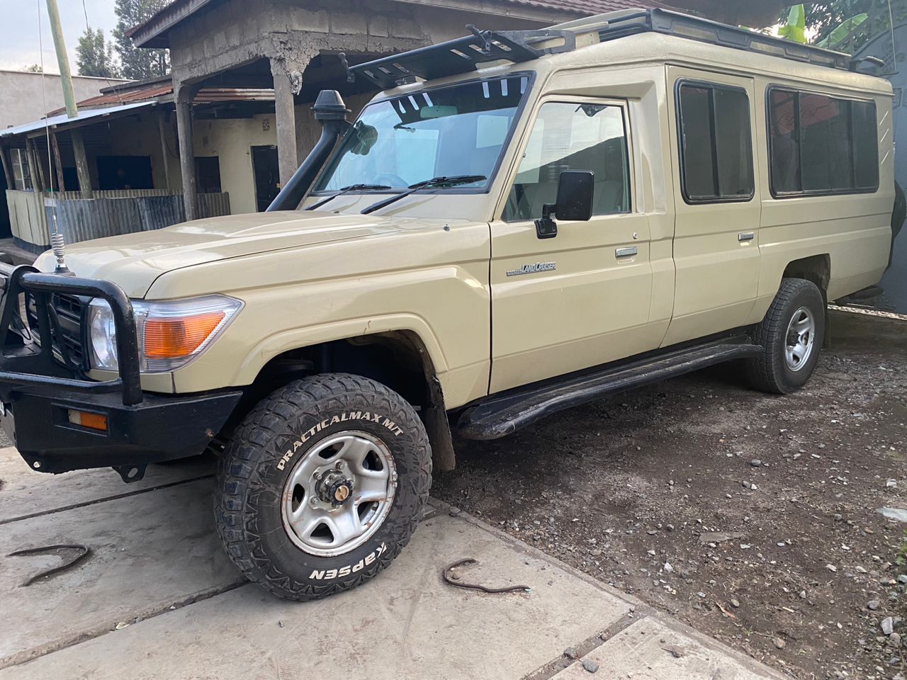 1 Day Tarangire National Park Safari